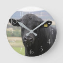 Recherche de boeufs horloges Taureau