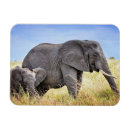 Recherche de animal africain magnets Faune
