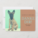 Recherche de malinois vœux cartes Portrait