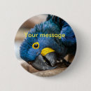 Recherche de ara badges Perroquet