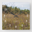 Recherche de prairies horloges Pour tous