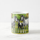 Recherche de cheval gris tasses Ranch