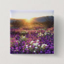 Recherche de désert badges Coucher de soleil