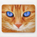 Recherche de chat tigré tapis souris Doux