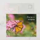 Recherche de papillons pastel cartes postales Pour tous