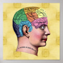 Recherche de cerveau vintage art Anatomie