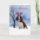 Recherche de springer spaniel vœux cartes Vacances