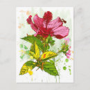Recherche de buisson cartes postales Beau