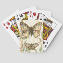 Recherche de papillon jeux de cartes Insectes