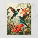 Recherche de de colibri cartes postales L'art des colibris
