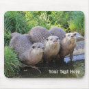 Recherche de loutre mignonne tapis souris Loutres