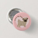 Recherche de carlins badges Chiens