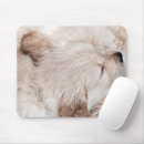 Recherche de chiots golden retriever tapis souris Mignon