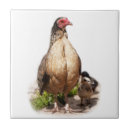 Recherche de baby carreaux Animal