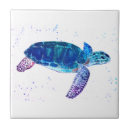 Recherche de tortue carreaux Tropical