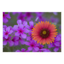 Recherche de couverture indienne posters Texas