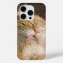 Recherche de maine coon iphone coques Chats