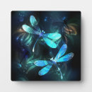 Recherche de libellules plaques Brillant