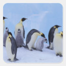 Recherche de empereur autocollants Oiseau