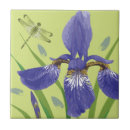 Recherche de iris carreaux Nature