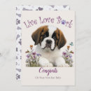 Recherche de st bernard vœux cartes Amoureux des chiens