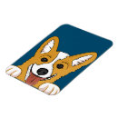 Recherche de jet magnete Chien