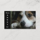 Recherche de refuge cartes visite Chien