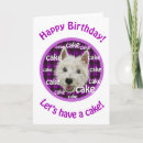 Recherche de westies vœux cartes Chien blanc