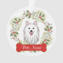 Recherche de spitz ornements Chien