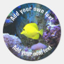 Recherche de aquarium marin autocollants Océan