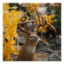 Recherche de deer posters Blanc
