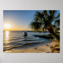 Recherche de palmier posters Floride