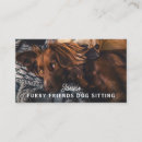 Recherche de amis cartes visite Chien