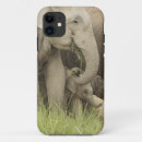Recherche de mammifère coques Prairie