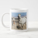 Recherche de bassins tasses Cheval