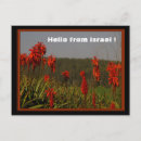 Recherche de aloès cartes postales Succulent