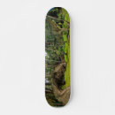 Recherche de t rex skateboards Dinosaure