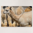 Recherche de alpaca puzzles Animal