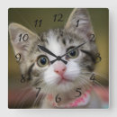 Recherche de chaton horloges Animal de compagnie