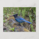 Recherche de rondin cartes postales Forêt