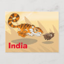 Recherche de chasse cartes postales Porc