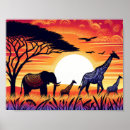 Recherche de savane africaine posters Coucher de soleil