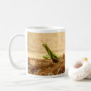 Recherche de mantis tasses Nature
