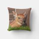 Recherche de faon coussins Pour tous