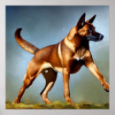 Recherche de berger belge posters Chien