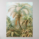 Recherche de illustrations scientifiques posters Ernst haeckel