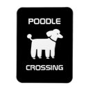 Recherche de passage magnets Chien