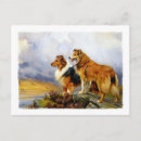 Recherche de chien cartes postales Collie