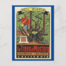 Recherche de arbre de séquoia cartes postales Voyage vintage