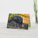 Recherche de faune action vœux cartes Action de grâces